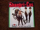 Shangri-las Leader Of The Pack Red Bird 20-101 LP Deadwax EX/NM 1965