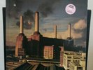 Pink Floyd - Animals (Vinyl, limitierte farbige Pressung)