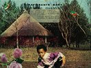 Ravissante Baby - Francis The Great (2015, Vinyl New)