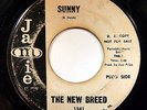 HEAR New Breed 45 Sunny/P.M. Or Later JAMIE 1341 northern soul mod R&B breaks