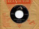 ELVIS PRESLEY a mess of blues / it's now or never MEXICO 7