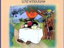 Cat Stevens - Tea For The Tillerman [Vinyl New]