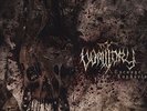 Vomitory - Carnage Euphoria LP - NEW COPY - Red Vinyl - Death Metal