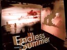 Endless Summer - 2 DISC SET - Fennesz (2010, Vinyl New)