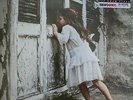 Violent Femmes - S/T Violent Femmes LP - Sealed - NEW COPY - Rock