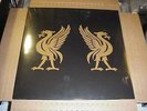 LP:  JOEY CAPE & JON SNODGRASS - Liverbirds NEW UNPLAYED GOLD VINYL Ltd
