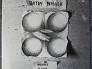 Satin Whale   Desert Places   Germany   1st Press   1974 Krautrock Monster