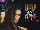 Dead Or Alive - You Spin Me Round Vinyl US 12