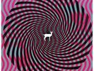 And Their Refinement of the Decline [Digipak] * [LP] by Stars of the Lid...