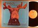 Timebox  The Original Moose On The Loose   Psych  Patto Halsall