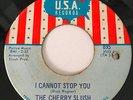 THE CHERRY SLUSH MICHIGAN MOODY GARAGE ON U.S.A RECORDS #895  I CANNOT STOP YOU