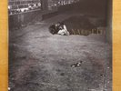 SEALED JOHN ZORN “Naked City” Brand NEW LP German IMPORT Avant Garde Free JAZZ