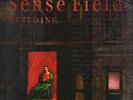 Sense Field Building NEAR MINT Revelation Records Vinyl LP