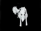 Kveikur [VINYL] Sigur Rós Vinyl