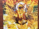Toad the Wet Sprocket Fear LP Vinyl Glen Phillips
