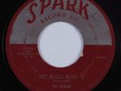 Doo Wop R&B 45 ROBINS Riot in Cell Block #9 SPARK HEAR