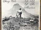 Tracy Cole - On Top of the Mountain Private Folk Psych Synth RARE LP
