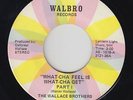 Funk 45 - Wallace Brothers - What-Cha Feel Is What-Cha Get - Walbro - mp3