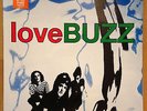 THE HUMMINGBIRDS - LOVE BUZZ LP w' POSTER - 80'S OZ AUSSIE INDIE - BLUSH ROO ART