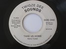 DANNY TUCKER Take Us Home Twigze Dee Sounds Roots Reggae 45 HEAR