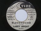 LARRY BRIGHT Bloodhound Tide WLP Promo R&B Rocker Mod 45 HEAR