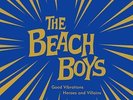 BEACH BOYS - GOOD VIBRATIONS - 2X10