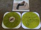 The Starting Line Say It Like You Mean It Green /500 Mint
