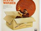 Stevie Wonder 