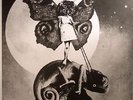EXALTICS, The - The Girl & The Chameleon - Vinyl (2xLP)