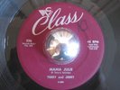 TERRY & JERRY rare Mama Julie new breed r&b soul 45 LISTEN