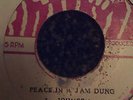 peace in a jam dung/l.johnson