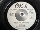 NORTHERN SOUL, TED TAYLOR, A RAMBLIN ROSE, (DEMO)