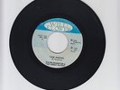 WILD FLOWER/TAKE WARNING  -  RALPH HAUGHTON & EBONY SISTERS (76 REGGAE ROOTS 7