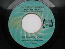 FANTASTIC FOUR CANT STOP LOOKING FOR MY BABY Detroit Soul US RIC TIC VG
