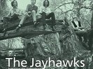 LP THE JAYHAWKS TOMORROW THE GREEN GRASS VINYL 180G + MP3 DOWLOAD