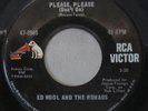 Ed Wool and The Nomads - Please, Please (Don't Go), Vinyl, 45rpm, 47-8940. VG+
