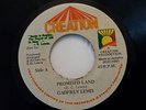 Gadfrey Lewis -Promised Land killer Roots Reggae 45 on Creation Label