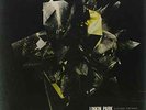 LINKIN PARK-LIVING THINGS VINYL NEW