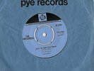 THE FRESHMEN  Just to see you smile/ Indian Lake PYE 7” 45