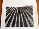 DAVID FRIEDMAN+Rimona Francis 