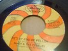 SANDY & THE PEBBLES - HE'S MY KIND OF FELLOW -  ORIGINAL  45 - NORTHERN SOUL