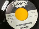 The Sting Rays GARAGE 45 Hey Girl Watcha Gonna Do / Ele Phink on Lawn Promo HEAR
