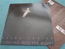 JULEE CRUISE FLOATING INTO THE NIGHT FALLING TWIN PEAKS 925859-1 LP INNER VINYL