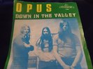 OPUS Ohio Sun 7