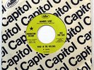 WIND IN THE WILLOWS 45 Moments Spent PROMO Folk PSYCH Debbie Harry BLONDIE w5482
