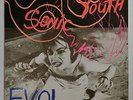 SONIC YOUTH - Evol - SST059 original with insert