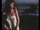 Linda Ronstadt ?– Hasten Down The Wind NEW/SEALED MOBILE FIDELITY MFSL LP ROCK