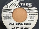 R&B ROCKER | Larry Bright - Way down home - Bloodhound
