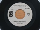 NERVOUS BREAKDOWN I Dig Your Mind 45 (Take 6 WLP) Garage Psych HEAR