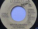 THE TRUMAINS RIPE FOR THE PICKIN SUPER RARE MODERN SOUL 45